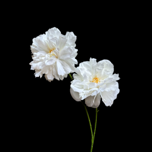 Artificial Hibiscus White