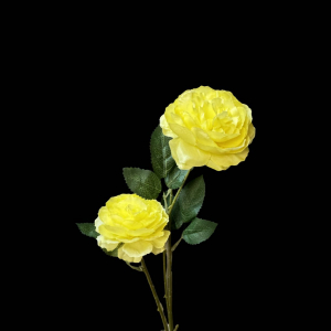 Artificial Flower Peony  Light Yellow