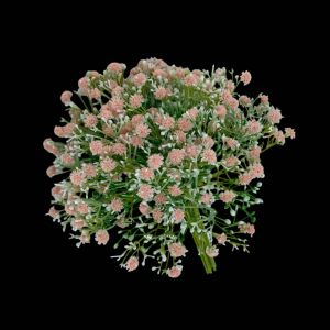 Artificial Baby\'s Breath Bunch Champange