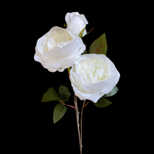 Artificial Austin Rose White