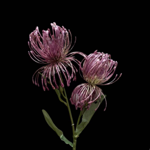 Artificial Chrysanthemum Hot Pink