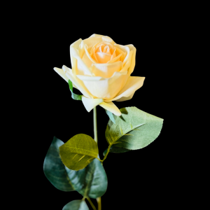 Hyper Realism Rose Yellow