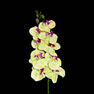 Artificial Phalaenopsis Green