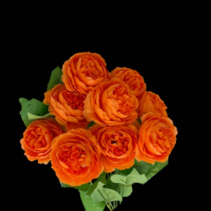 Artificial Flower Peony Bunch Orange (9 PCS)