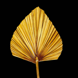 Dired Palm Leaf Gold