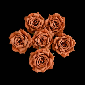 Artificial Rose Head Brown (1 Piece)