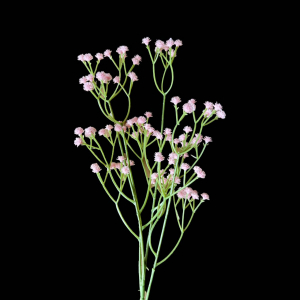 Artificial Baby\'s Breath Pink