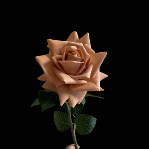 Hyper Realism Rose Brown