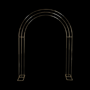 Arch Frame Shinne Gold