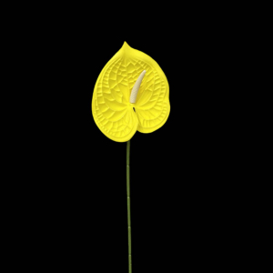 Artificial Anthurium Yellow