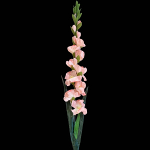 Artificial Gladiolus Champange