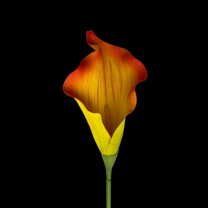 Artificial Calla Lily Orange