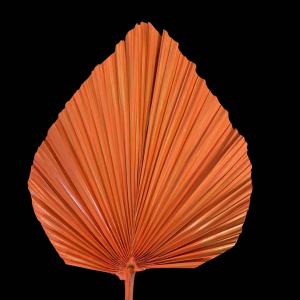 Clearance! Dired Palm Leaf Orange