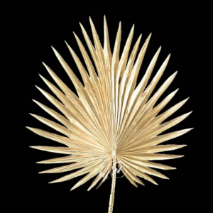 Artificial Pu Fan Leaf Gold