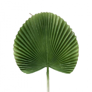 Clearance Artificial Plum Leaf Green