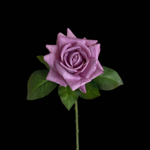 Hyper Realism Rose Purple