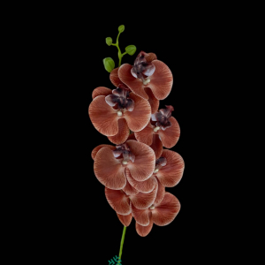 Artificial Flower Phalaenopsis Brown