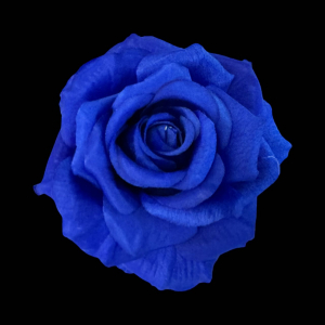 Artificial Rose Head Royal Blue  (1 Piece)