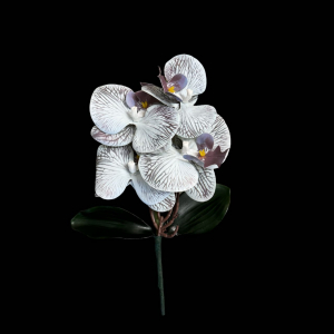 Artificial Phalaenopsis Blue