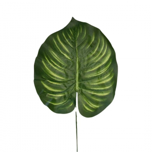 Artificial watermelon  Leaf